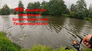 6 Raubfisch Abenteuer Spinnfischen nach Temperatursturz 🎣 [upl. by Esya]