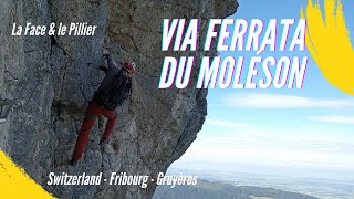 Via Ferrata du Moléson  La Face amp Le Pilier [upl. by Kcirevam]