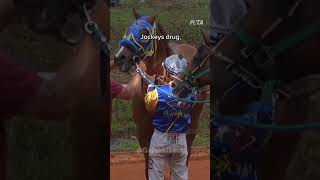 Horse Race वाले घोड़ों की रफ्तार का राज 🏇shorts ytshorts [upl. by Camarata]