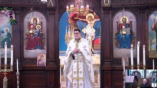 06232024  Fr Gregory Waynick  On Pentecost [upl. by Sabas]