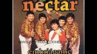 Corazoncito  Grupo Nectar [upl. by Kunz]