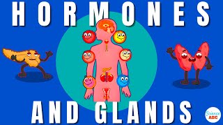 Endocrine System Glands and Hormones [upl. by Eissac]