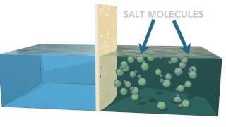 How to design a seawater reverse osmosis desalination plant [upl. by Llevaj200]