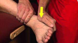 Sub Talar Joint Ankle Medial Glide [upl. by Ratcliff]