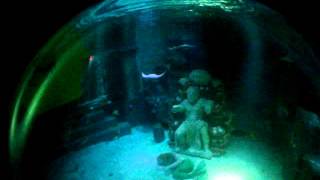 Legoland Windsor Resort Atlantis Submarine Voyage Full Ride [upl. by Shalna]