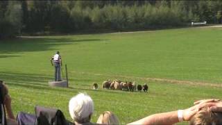 Continental Sheepdog Championship 2009 [upl. by Natsirt235]