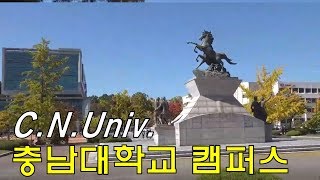 충남대학교 캠퍼스 가을풍경 Chungnam National University [upl. by Martreb811]