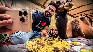 Choti si Bat pe Camel ki DAWAT 🤦‍♂️ [upl. by Oilenroc]