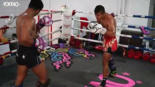 Muay Thai Sparring  Training Camp is Underway Superlek Vs Everyone  YOKKAO Training Center [upl. by Pessa]