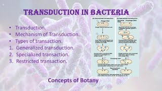 Transduction in bacteria Types of transduction HindiUrdu Concepts of Botany [upl. by Low]