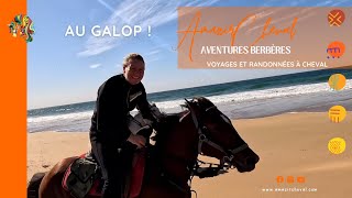 Course de galop sur la plage avec les chevaux dAmazir  Agadir Maroc cheval horse horseriding [upl. by Vickey]