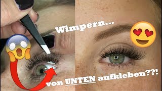 Wimpern von UNTEN kleben Der beste Trick wie es funktioniert [upl. by Chesnut]