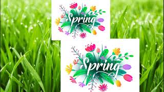 Spring Guessing Game What is It  English Portal [upl. by Azelea]