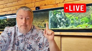 Community Aquariums Are The Best Lets Talk About it [upl. by Nodnab]