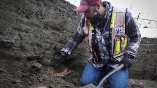 Alberta dig may shed light on First Nations history Archeologist [upl. by Naillimixam]