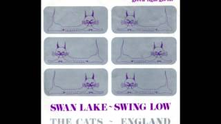 The Cats  Swan Lake Pyotr Tchaikovsky [upl. by Fineberg5]