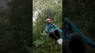 The best family activity in Rotorua New Zealand  Ziplining Adventure [upl. by Nosmas]