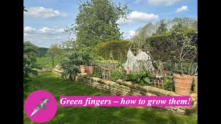 Green fingers – how to grow them [upl. by Aihset]