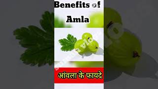 आंवला के फायदे Benefits of Amlaytshorts benefits gooseberry amla aawla [upl. by Apul738]