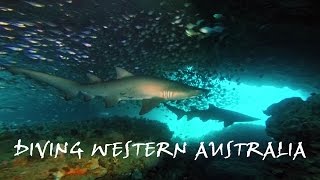 Diving Western Australia Timor Sea to the South West [upl. by Chyou122]