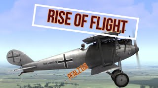 Rise Of Flight  Pfalz DIII [upl. by Ayn870]