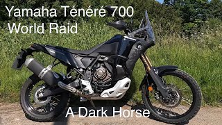 Yamaha Ténéré 700 World Raid [upl. by Zurek]