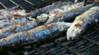 Grilled Portuguese Sardines [upl. by Terces758]