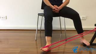 Eversion with Theraband  Peroneal Rehab [upl. by Finstad]