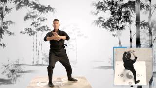 Learn Tai Chi Online with Jet Lis Online Academy  Lesson 1 [upl. by Neelrad258]