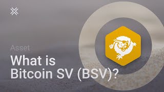 What is Bitcoin SV BSV [upl. by Asenev]