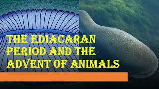 The Ediacaran Period and The First Animals [upl. by Lyell]