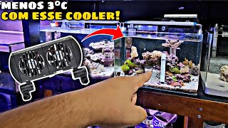 INSTALEI UM COOLER NUM TIMER NO NANO MARINHO DE 40L [upl. by Giardap]