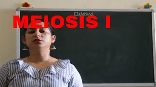 MEIOSIS I Easy explanation BIOLOGY  ICSE CBSE Board Exams [upl. by Gnaht]