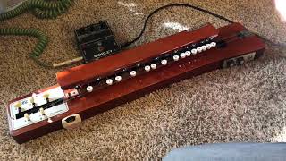 Funky electric Taisho Goto Nagoya Harp for sale at awesomesauceguitarscom [upl. by Massimiliano]