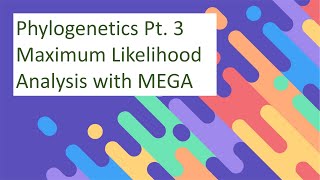 Phylogenetics Tutorial  Maximum Likelihood Analysis with MEGA [upl. by Innavoij823]