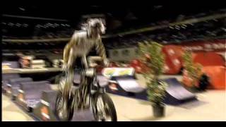 2010 SPEA FIM Indoor Trial World Championship Madrid SPA [upl. by Orlov611]