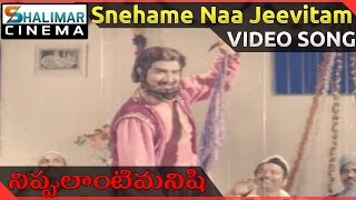 Nippulanti Manishi Movie  Snehame Naa Jeevitam Video Song  NTR Latha  ShalimarCinema [upl. by Emmer]