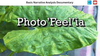 Basic Narrative Analysis Documentary  Photofeelia  The Magnificent 7 [upl. by Neerod305]