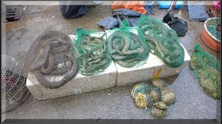 Foshan Street Market near Guangzhou China  Snakes Frogs and more [upl. by Daza253]