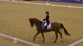 The Sydney CDI  Wendi Williamson and Don Armour MH 2nd OTTO SPORT AUSTRALIA FEI Grand Prix [upl. by Cleopatre855]