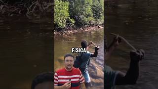 Física da pesca shorts Física [upl. by Aita]