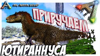 ARK Survival Evolved  ПРИРУЧЕНИЕ ЮТИРАННУСА TAMING YUTYRANNUS [upl. by Frannie]