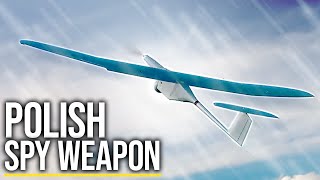 Explained Heres Why Russia Fears the MOST ADVANCED Polish FlyEye Drones [upl. by Baalman644]