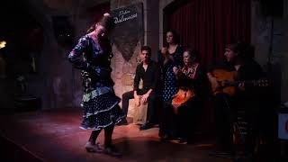 Flamenco show in Barcelona  Palau Dalmases [upl. by Tudela]