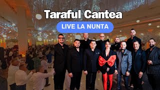 Taraful Cantea Live la nunta in Palatul Mirilor Tecuci hora cu sute de persoane [upl. by Daniels395]