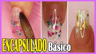 0621 ENCAPSULADO BÁSICO en Uñas Acrílicas para PRINCIPIANTES 💗 Curso GRATIS Uñas Acrílicas [upl. by Acinoj]