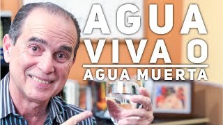 Episodio 1383 Agua Viva o Agua Muerta [upl. by Donadee982]