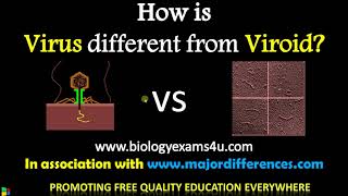 5 Differences between Virus and Viroid  Virus vs Viroids BiologyExams4u [upl. by Odel127]