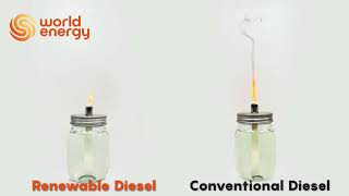 Renewable Diesel vs Conventional Diesel Burning Demonstration [upl. by Acimehs]