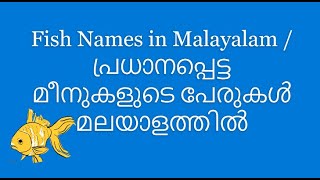 Fishnamesinmalayalam പ്രധാനപ്പെട്ട മീനുകളുടെ പേരുകൾ മലയാളത്തിൽEnglish and Malayalam Names of Fish [upl. by Miarfe167]